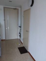 Opal Suites (D12), Apartment #167566122